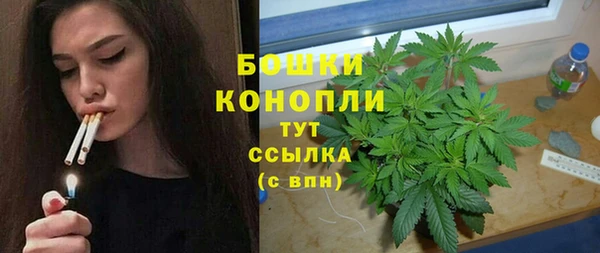 гидра Беломорск