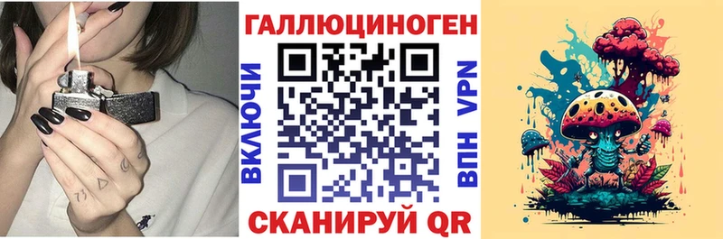 Галлюциногенные грибы Psilocybe  Купить где  Игарка 